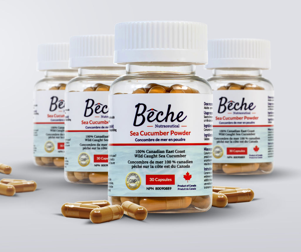 Bêche Sea Cucumber Powder Supplement - 4 bottles bundle