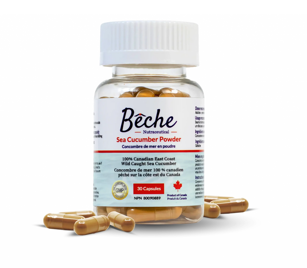 Bêche Sea Cucumber Powder Supplement - Single Bottle