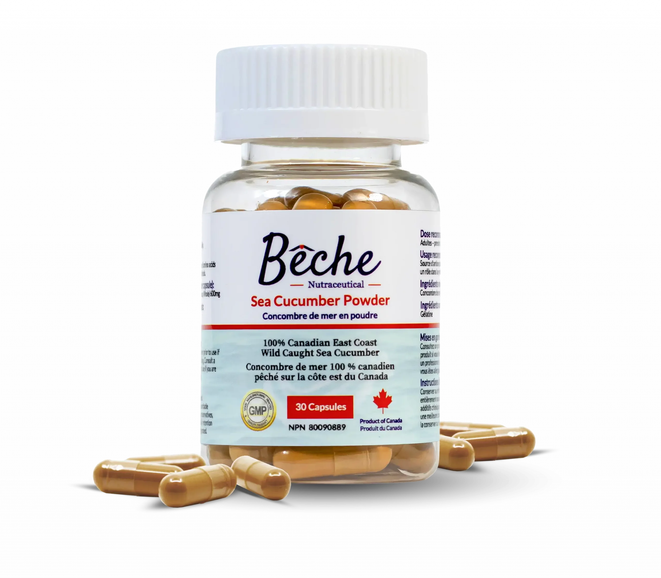 Bêche Sea Cucumber Powder Supplement - Single Bottle