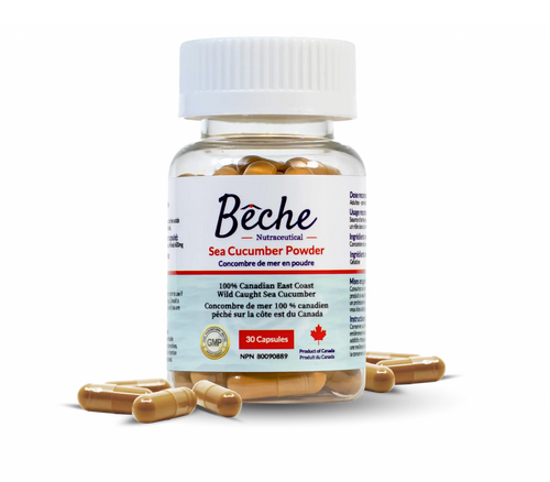 Bêche Sea Cucumber Powder Supplement - Single Bottle
