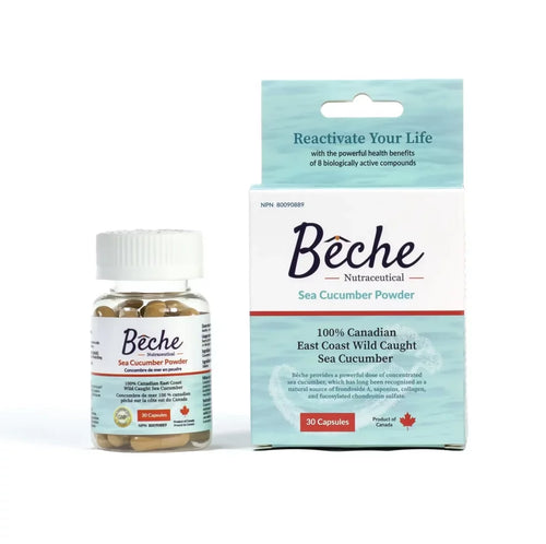 Bêche Sea Cucumber Powder Supplement - 4 bottles bundle